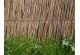 Trstina na ploty Rákosový plot 100 cm